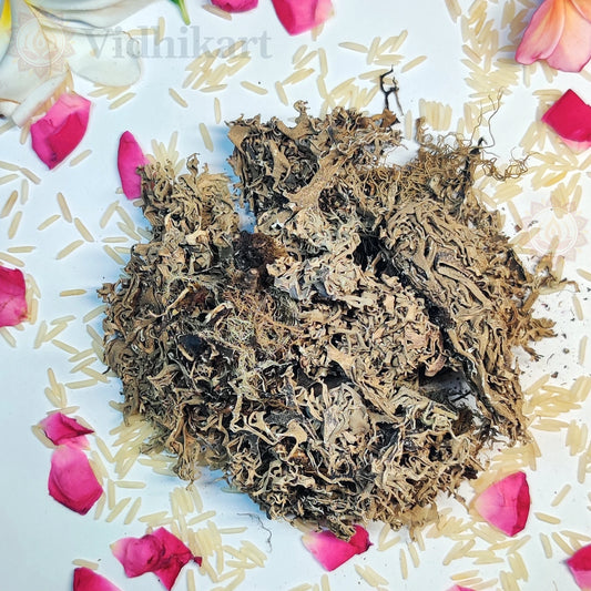 Pure Chail Chabila (Stone Flower) for Puja & Havan Rituals