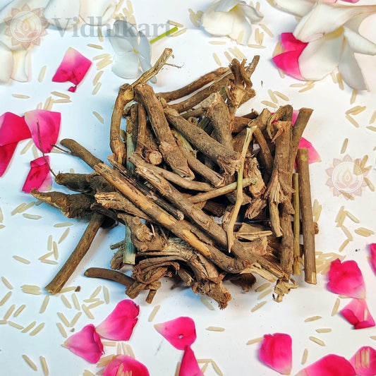 Sacred Chitrak Root for Puja & Havan Rituals