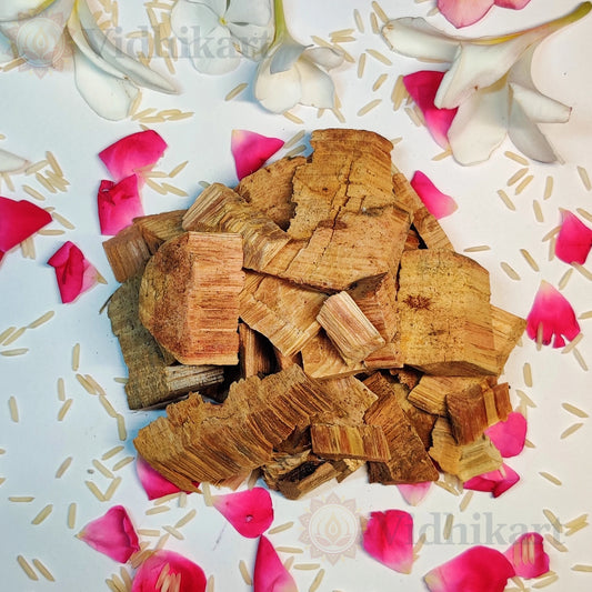 Sacred Devdar Wood (Wood of the Gods) | Essential for Puja & Havan
