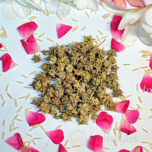 Sacred Gokhru (Gokshura) Herb for Puja & Havan Rituals