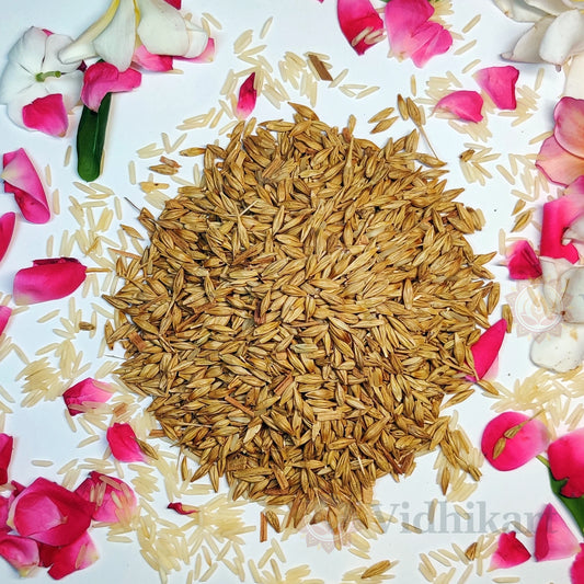 Sacred Jau (Barley) Seeds for Puja, Havan & Navratri Rituals