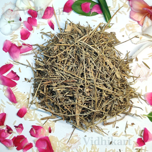 Shankhpushpi Herb for Puja & Wellness Offerings