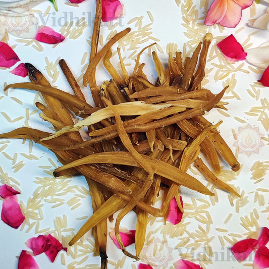 Authentic Shatavari Herb for Puja & Wellness Offerings