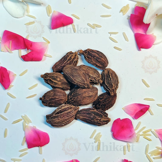 Badi Ilayachi (Black Cardamom) | Authentic Spice for Puja & Havan