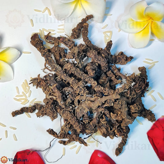 Tagar Root (Valeriana Wallichii) – Natural Aromatic Herb for Puja & Ritual Use